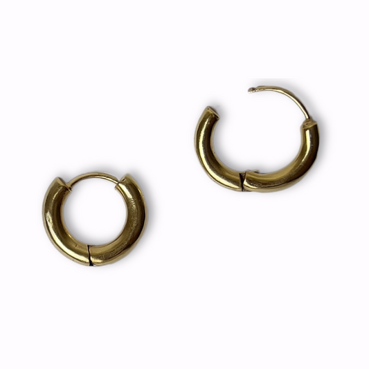 Chinni Small Hoops